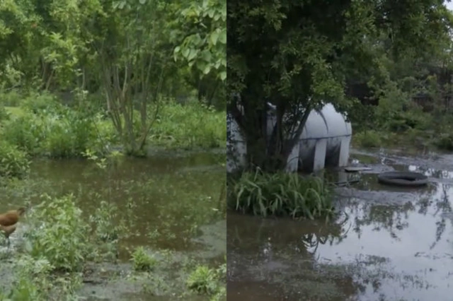 В результате дождей затопило дома жителей в Кюрдамирском районе - ВИДЕО